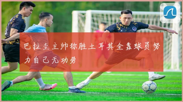 巴拉圭主帅称胜土耳其全靠球员努力自己无功劳
