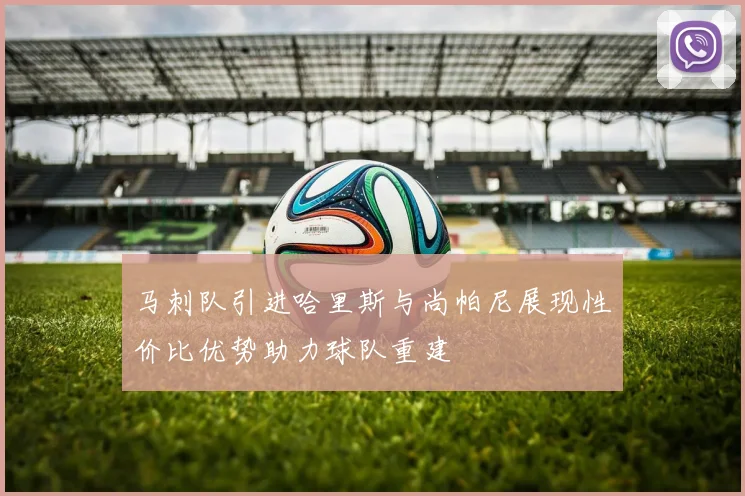 马刺队引进哈里斯与尚帕尼展现性价比优势助力球队重建